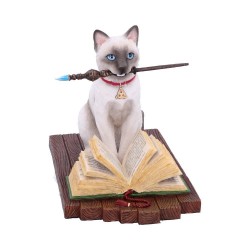Hocus Pocus gattino scrittore by Lisa Parker