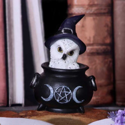 Owl's Brew gufetto by Nemesis Now Collection