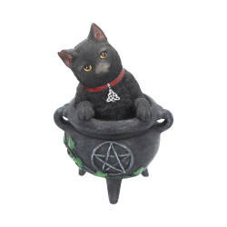 Gattino Smudge by Nemesis now