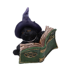 Gattino Kitty's Grimoire by Nemesis Now Collection