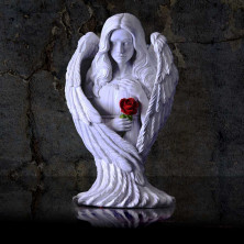 Angelo il preghiera con rosa di amore 30 cm by James Ryman