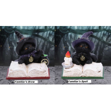 Gattini familiar's Brew / Spell by Nemesis Now