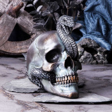 Teschio Serpente by Nemesis Now