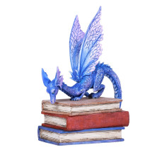 Drago a scuola by Pacific Trading