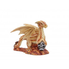Drago sole del deserto - Anne Stokes Collection