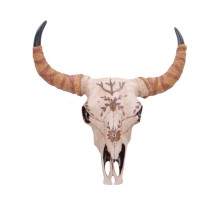 Teschio Spiritu del Sud
